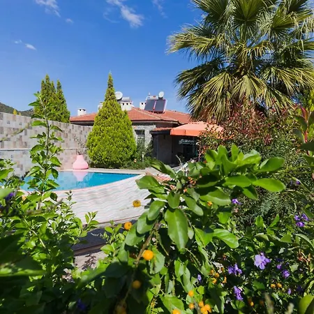Sefa Villa *